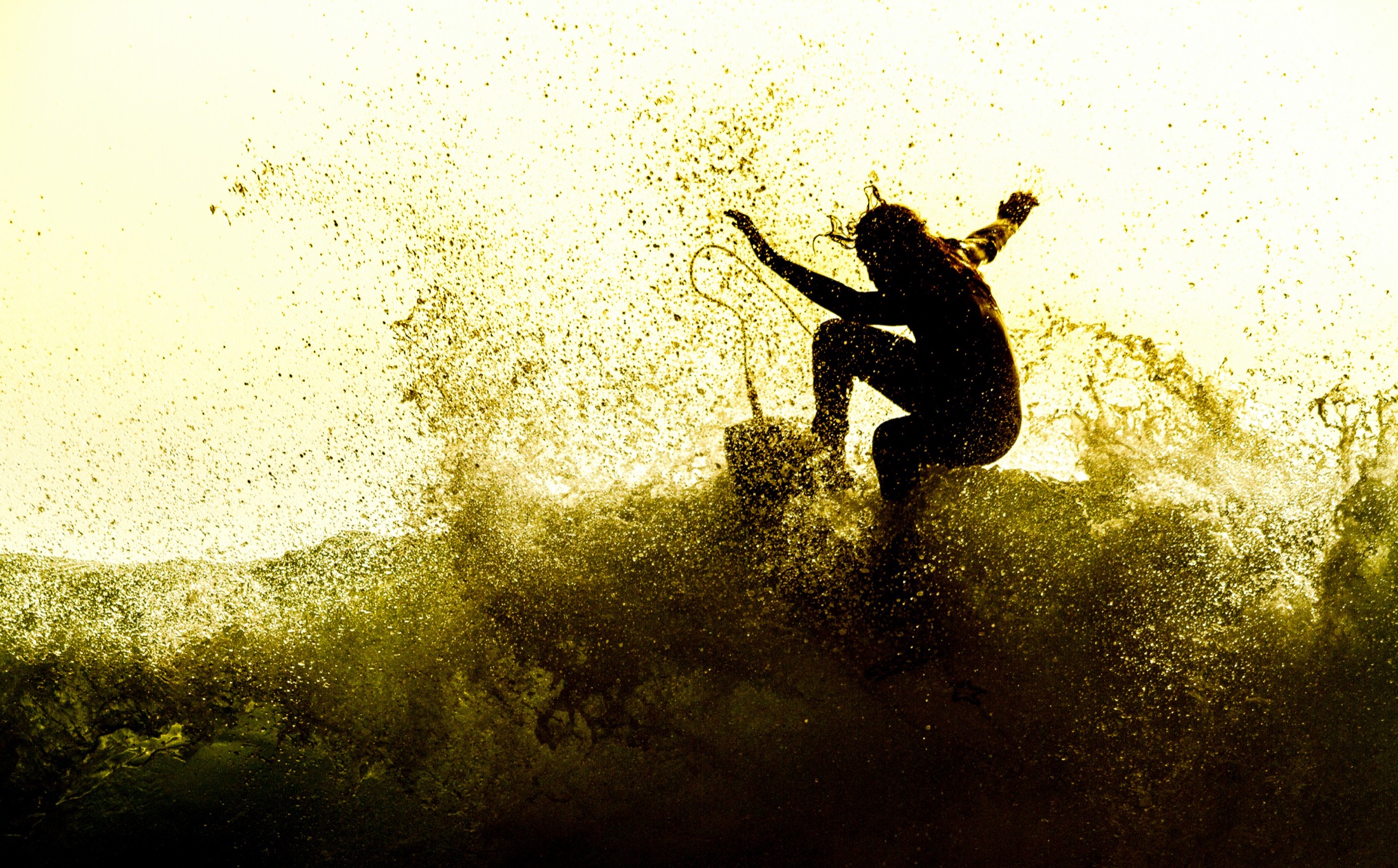 Surfer silhouetted inside golden backlit spray